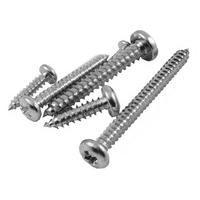 Pack of 100 CRCS Self Tapping Pan Head Screws ZP