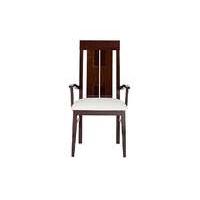 palermo pair of arm dining chairs