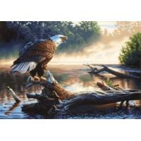 Paintsworks Paint By Numbers Eagle Hunter Paint Set