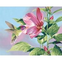 Paintsworks Paint By Numbers Hibiscus Hummingbird Paint Set