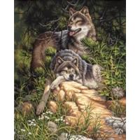 paintsworks paint by numbers wolves wild free paint set