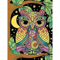 Paintsworks Pencil By Numbers - Night Owl