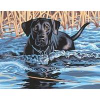 Paintsworks Paint By Numbers - Cold Water, Warm Heart