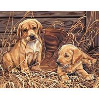 paintsworks paint by numbers puppies plaything