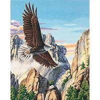 Paintsworks Paint By Numbers - Soaring Eagle