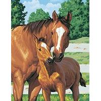 Paintsworks Paint By Numbers - M...