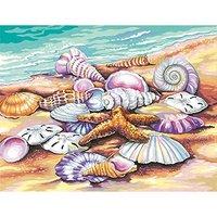 paintsworks learn to paint 14 x 11 shells