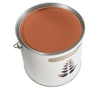 Paint by Conran, Conran Matt Emulsion, Kitchen Garden October Squash, 0.05L tester pot