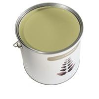 paint by conran conran matt emulsion kitchen garden spring leek 2l