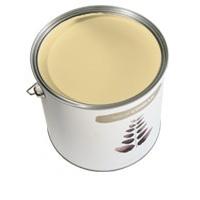 Paint by Conran, Conran Matt Emulsion, Orchard Primrose Patch, 0.05L tester pot