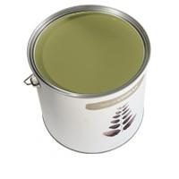 Paint by Conran, Conran Matt Emulsion, Kitchen Garden Rhubarb Stalk, 0.05L tester pot