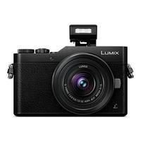 Panasonic Lumix DMC-GX800 Digital Camera with 12-32mm Lens