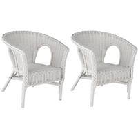 pacific lifestyle white painted rattan children chair pair