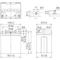 Panasonic LC-P1224APG, 12V Ah lead acid battery