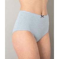 pack of 4 cotton stretch maxi briefs