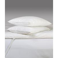 Pack of 2 Duck Feather and Down Pillows
