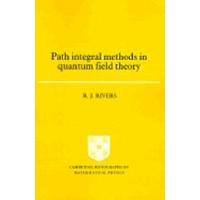 Path Integral Methods in Quantum Field Theory