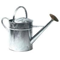 parasene galvanised 2 gallon 9 litre watering can handle brass face ro ...