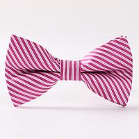 Paisley Pink Stripe Bow Tie Formally