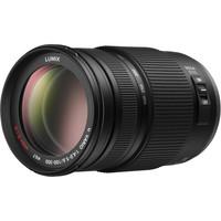 Panasonic Lumix G Vario 100-300mm F/4.0-5.6 OIS Lens H-FS100300C