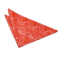 Paisley Burnt Orange Handkerchief / Pocket Square