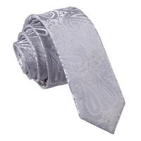 Paisley Silver Skinny Tie
