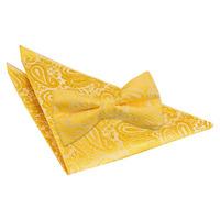 paisley gold bow tie 2 pc set