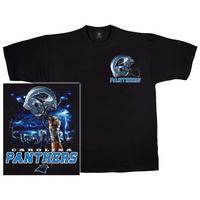 panthers logo sky helmet