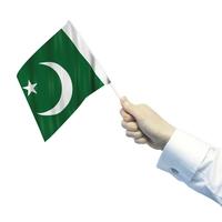 Pakistan Hand Waving Flag