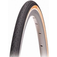 Panaracer Pasela Pt Tan Wall With Free Tube To Fit This Tyre