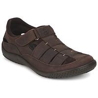 Panama Jack MERIDIAN men\'s Sandals in brown