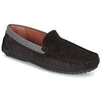 Paul Joe CARL men\'s Loafers / Casual Shoes in black