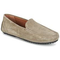 Paul Joe CARL men\'s Loafers / Casual Shoes in BEIGE