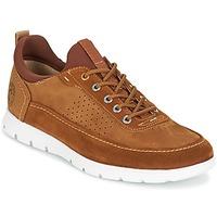 Panama Jack DAVOR men\'s Shoes (Trainers) in brown