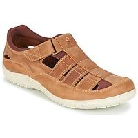 Panama Jack MERIDIAN men\'s Sandals in brown