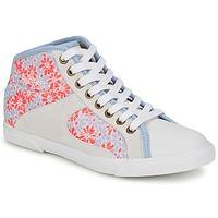 Paul Joe Sister STENFORD women\'s Shoes (High-top Trainers) in white