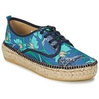 paul joe sister derby womens shoes trainers in blue