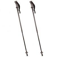 Pair of Hiking Poles