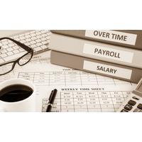 payroll systems level 2