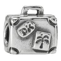 Pandora Case (79362)