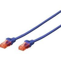 Patch cord CAT 6 U/UTP Blue