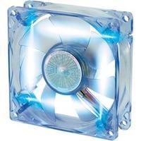 PC fan Akasa AK-170CB-4BLS (W x H x D) 80 x 80 x 25 mm