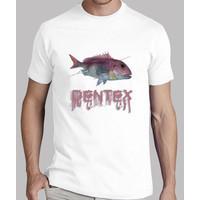 pdf fishing shirt dentex