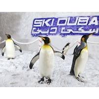 Penguin Encounter at Ski Dubai