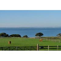 Penguin Parade with Moonlit Sanctuary and Churchill Island From Melbourne