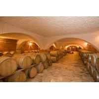 Peljesac Wine Private Day Trip from Dubrovnik