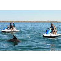 perth jet ski tours