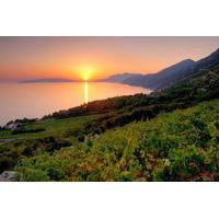 peljesac wine tour