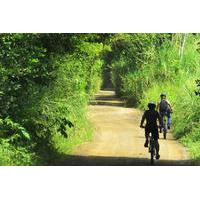 Pereira Full Day Bike Tour: Local Means of Transport Route