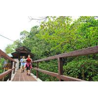 Penang National Park Half-Day Trek